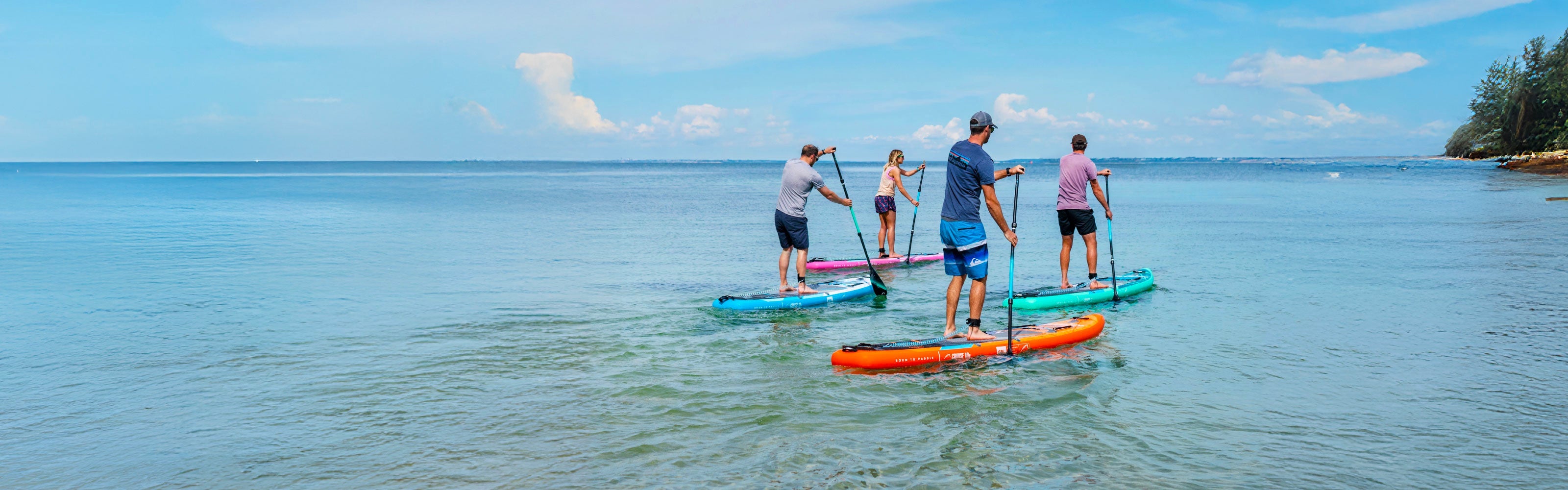 Five people paddleboarding on colorful boards in calm water with blue sky and trees in background