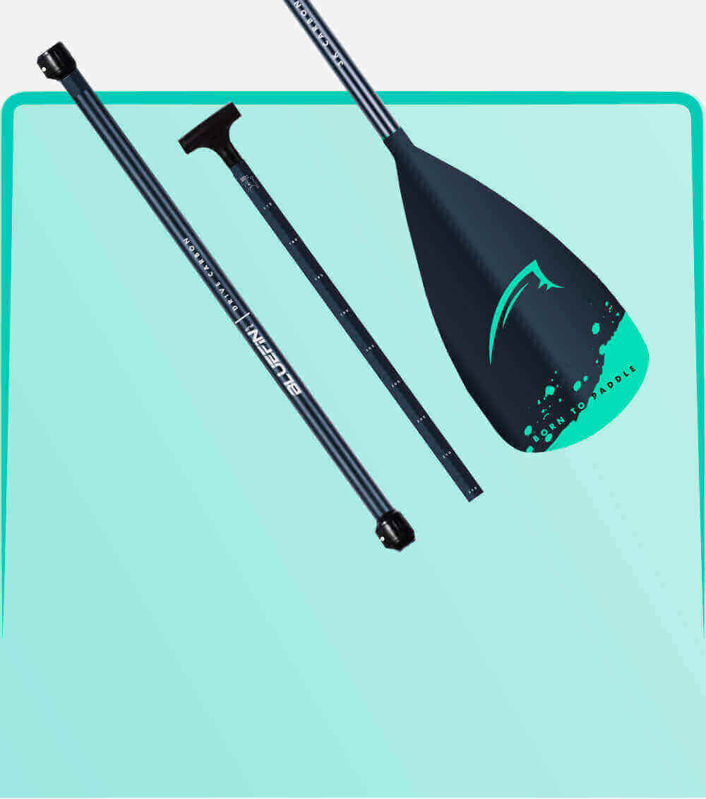 Three-piece paddle with black shaft and teal blade featuring 'Born to Paddle' design