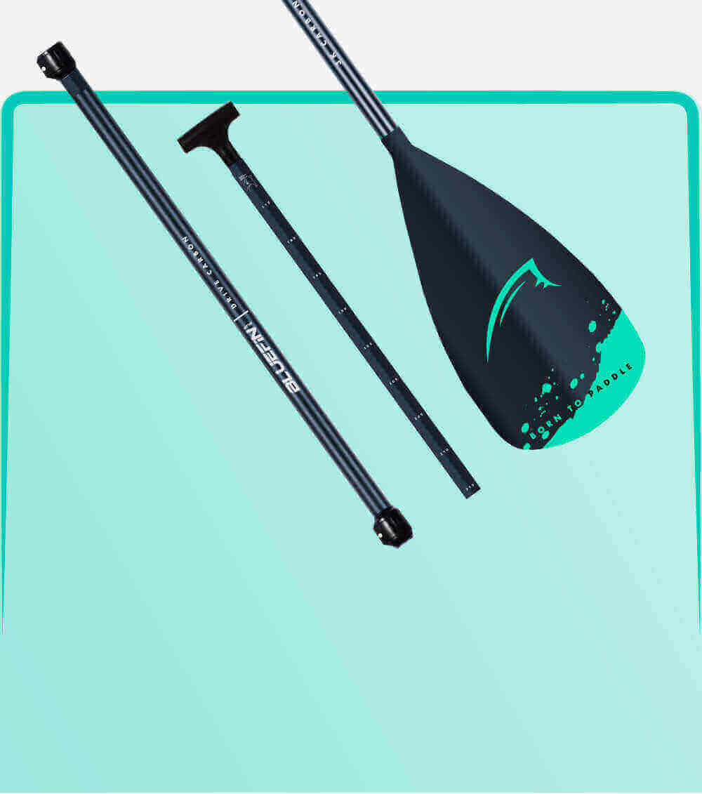 Three-piece paddle with black shaft and teal blade featuring 'Born to Paddle' design